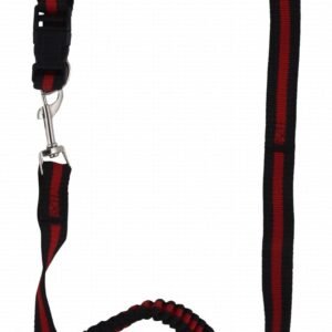 Bonz pets black and red 120cm leash with collar